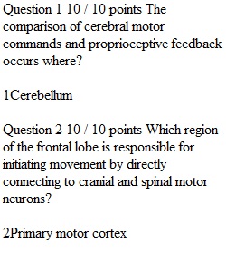 Week 13 Quiz 9